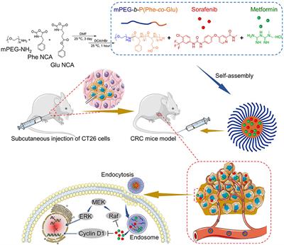 Co-delivery of sorafenib and metformin from amphiphilic polypeptide-based micelles for colon cancer treatment
